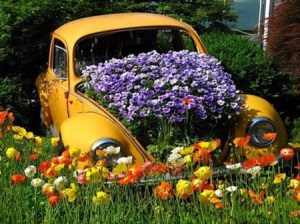 Seems like that old Volkswagen Beetle now has a new life as a flower planter. Of course, I wonder if neighbors still see it as a piece of junk.
