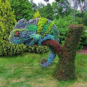 This is from the botanical garden in Montreal. Forget what kind of lizard this is but I'm sure it's natural habitat is the rain forests of South America. Definitely not an iguana because those are bigger and are vegetarians. This one eats bugs.