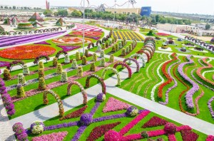 Again, this is the Miracle Garden in Dubai known for it's bizarre landscaping and very high water bills. Seriously, it seems like the kind of garden you'd see at a Dr. Seuss theme park, on steroids. Hey, at least I'm not showing the city's architecture.