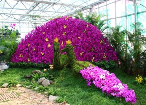Now I think this is from an indoor botanical garden. But I hope the lighter one is a peahen and not a peacock, not that there's anything wrong with it. But it's just that, well, nevermind.
