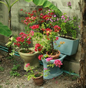 Hey, I'm sure toilets might make okay planters. I mean they're made from porcelain and have several open containers to them. And in some situations, I'm sure they'll benefit from some organic fertilizer.