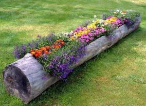 Now I think there's a log like this in my yard. Wonder if I should ask my dad to hollow it out so my mom can plant flowers in it. Of course, he'd probably refuse.