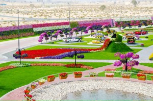 This is part of the Miracle Garden in Dubai which is one of the largest public gardens in the world as well perhaps runs among the world's highest water bills. You'll see a lot of scenes from this place since it's like a garden theme park.