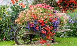 Now this is a beautiful picture. However, many people with wheelbarrows can't do this since they actually use them for other things, like yard work.