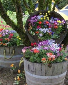 Of course, you can buy these large wooden buckets at any hardware or department store like Wal Mart or K Mart. Nevertheless, these flowers are quite beautiful in them.