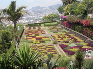 This is from a botanical garden in Madeira which is in the Mediterranean. Still, quite lovely but I'm not sure about the colors.