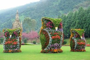 I wonder whoo is responsible for taking care of these?  Still, they are quite beautiful and colorful despite being mostly green.