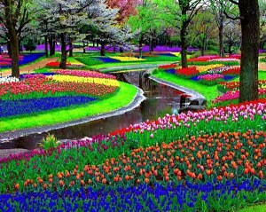 This is from Amsterdam. Not sure if it's a botanical garden or park because tulips are very big in the Netherlands.