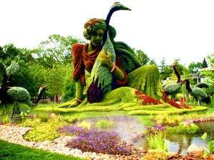I'm sure this is from a botanical garden in Montreal. I'm sure those birds aren't native since I don't remember seeing them from the Audobon book.