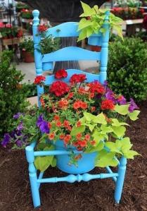 Not sure if the pot and chair were spray painted or not. Either way, the flowers are certainly pretty.