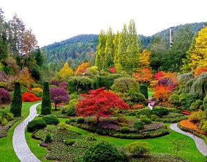 Now this is from a botanical garden in Canada, possibly in the Pacific Northwest. This picture was probably taken during the early spring but it's quite a stunning sight.
