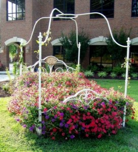 Now this is the kind of flower bed I'm talking about. Love the flowers of it and the vines. But please, no critters.