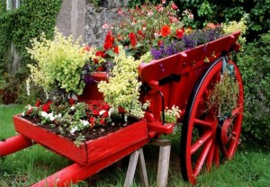 Now I'm sure the cart was painting and isn't pulled by a horse. But the flowers are quite gorgeous in it.