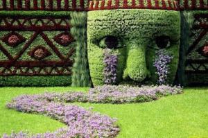 Either this was done by professionals or a repressed landscaper with too much time on their hands. Either way, it's incredibly stunning and beyond my expertise.