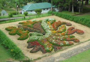 Now this is from a botanical garden from Sri Lanka. And I'm sure that design pertains to something from their culture. Not sure what it's supposed to be though.