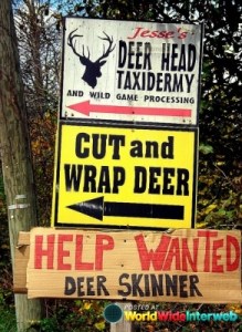 Yeah, seems like deer hunters need not visit this taxidermy place, at least until they find a new skinner. Wonder how they lost the last guy.
