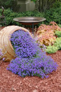 From the Images: "Waterfall blue lobelia - No other blue flower can match the intensity of Waterfall Blue lobelia, a perfect floral imitation of water flowing from the pot. Riverdene Gold Mexican Heather gives a lime green color around the container, and Rustic Orange coleus in behind looks good with the heather and the intense blue of the lobelia." Man, and I thought I said too much sometimes.