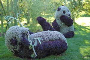 Now I'm sure this is the only pair of adult pandas nobody has tried to mate. Mostly because they're made from foliage. Still cute, though.