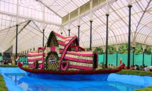 This is from a botanical garden in India and is quite large. Still, you have to love the pink and white stripes on this.