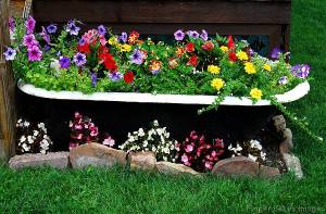 Well, at least a tub somehow makes a great place for planting flowers. Still, love the selection in there.