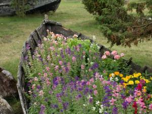 Now I'm sure this rickety wooden boat isn't good for the water. But that doesn't mean you can throw it away if you can still plant flowers in it.