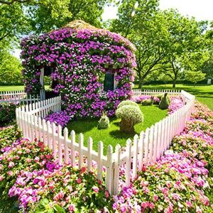Now this may be small but it's especially breathtaking. Of course, it helps that the flowers are purple in this case.