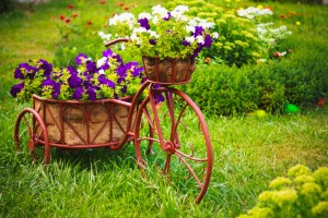 Now this is quite a garden party addition. Still, love the morning glories in the baskets.