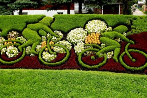 Then again, I'm sure bikes wouldn't be allowed either. Still, I like the daisies on this though.