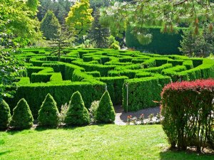 Now I'd really hate to get lost in that. Not sure where this one came from but the foliage is stunning.