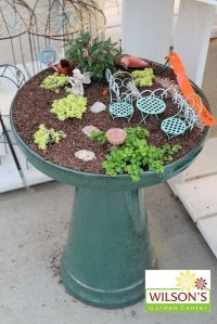 Now the top layer consists of much which most people usually don't put in their patio areas. But this is a rather idyllic scene on the birdbath. And it doesn't use a lot of accessories in the process.