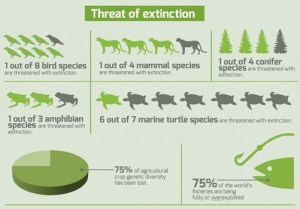 This is from an infographic from 2013 that shows the kinds of species that are threatened with extinction as well as the loss of genetic diversity in our fisheries and farms. Let's just say this is pretty disheartening when it comes to the world's turtles and other creatures. Loss of species and biodiversity is one environmental problem that can't be remedied. And sometimes the loss of one species can doom a whole ecosystem.