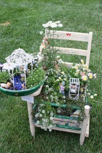 Seems that a lot of fairies tend to reside in this beautiful chair garden. The flowers are simply breathtaking in this.