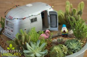 And it even has one of those tacky flamingo lawn ornaments. Then again, the gnome may just be an ornament, too. But I do love the desert scenery.