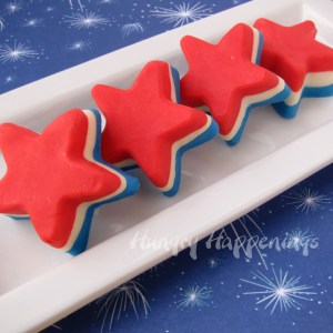 Man, isn't there anyone who doesn't like fudge? Other than nutritionists or dietitians? Then again, best to eat one patriotic fudge star at a time.
