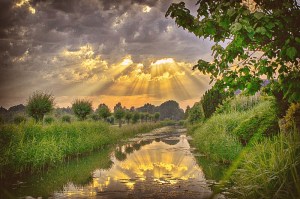 mother-earth-pubdom-pixabay