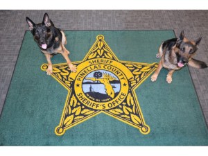 This especially goes with tracking missing persons or fugitives. Of course, they also do dog sniffing as well. Nevertheless, it's quite funny.