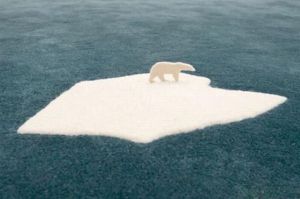 Unlike the real Arctic, at least the carpet ice will never melt as far as this polar bear is concerned. Then again, I wonder if Al Gore has a carpet like this.