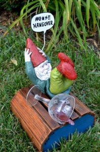 Of course, waking up with a hangover could be worse in some situations other than this. Seems that glass of wine was too big for him for some reason.