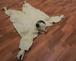 I've seen rugs like these on Google Images. However, I used Hitler since he's probably the most acceptable example on this post. If you don't know that, read your WWII history books or watch Schindler's List. Okay, that's too depressing so you'd better go with The Great Dictator.