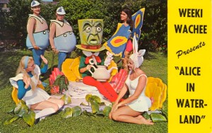 Now by looking at these ladies, I'm sure their rendition of the Lewis Carroll tale is far more trippier than the Disney movie. Also, I'd hate to be the Mad Hatter in this.