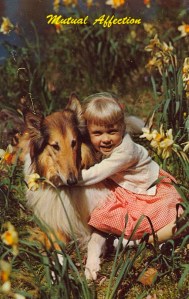 However, while it's supposed to show "mutual affection," the facial expressions make it seem very one-sided. The girl really seems to love her collie. The collie, on the other hand, either doesn't show its feelings or just doesn't care.