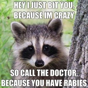 Of course, I'm sure this raccoon doesn't since it looks relatively normal. However, yeah, raccoons do tend to be carriers of all kinds of diseases. If you see one showing unprovoked aggression, call animal control and seek shelter immediately.