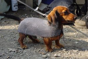 Now Renaissance children's costumes are one thing. But Renaissance Festival costumes for your pets? Now that's kind of ridiculous. Besides, I'm not sure if many Renaissance Festivals even allow them.