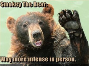 Yes, I'm sure Smokey the Bear is more intense in person. Nevertheless, when you encounter a bear, remain calm, give it a way to escape, and slowly and quietly back away. Don't make eye contact, don't run, and try to look intimidating. If all else fails, use bear pepper spray.