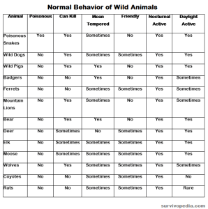 Wild-Animals-Table