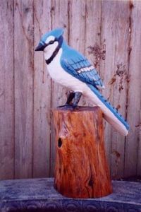 Now I like blue jays and think they're rather pretty birds. But there are some people who think these birds are annoying. They don't understand.