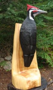 Now I'm sure that bird is bigger than the real thing. But I love the paint job. Really brings out the colors.