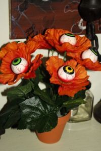 But having eyeballs in the flowers, well, that's just damn creepy. I mean an eyeball is creepy enough when it's not in an eye socket. Seriously, it's gross.