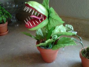 Of course, this isn't nearly as dangerous as the one you see in the movies. Just to note, the original movie had Seymour sacrificing himself to kill the plant.