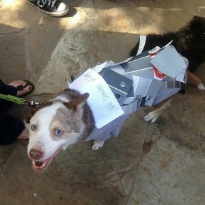 You were expecting something much more kinky. Don't lie, honestly. Still, I don't know about you, but I think this costume is better than the book series or the movie.